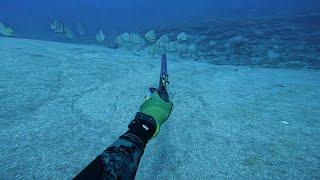 Raiatea spearfishing Il 2023