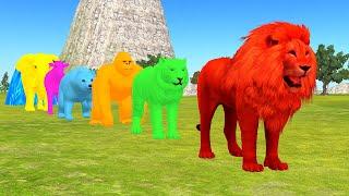 Paint Animals Gorilla Elephant Cow Lion Tiger Brown Bear Fountain Crossing Animal Game Animation