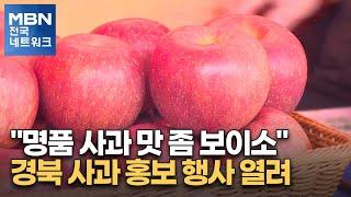 "명품 사과 맛 좀 보이소"…경북 사과 홍보 행사 열려 [전국네트워크]