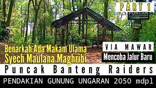 PENDAKIAN UNGARAN VIA MAWAR, JALUR BARU #pendaki #pendakiindonesia #pendakigunung #ungaran #gunung