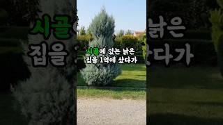 시골에 있는 낡은 집을 1억에 샀다가 어처구니 없는 일을 겪었습니다