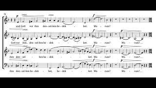 Warum ist das Licht gegeben dem Mühseligen (J. Brahms) Score Animation