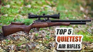 Top 5 Quietest Accurate Air Rifles - Madman Review