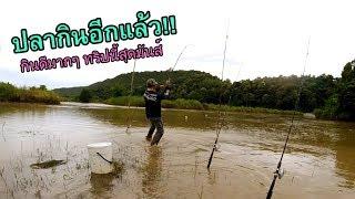 ตกปลาหน้าดินหมายธรรมชาติแม่น้ำใหญ่ ปลากินดีมากทริปนี้สุดมันส์!!