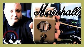 Marshall's Marshall-In-A-Box Pedal? | GV-2 Guv'Nor Plus Overdrive Distortion