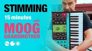 Stimming: 15 minutes with Moog Grandmother