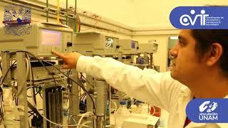 Unidad de Bioprocesos | Vinculación UNAM