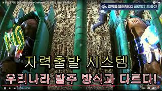 충격! 두바이 원정 글로벌히트 늦발주 후 8착 (with자력 출발제)