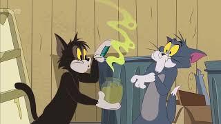 The Tom And Jerry Show   Vegged out