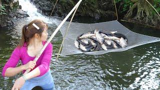 Amazing Fishing Skill - Best Net Fishing - Traditional Fishing on The Stream - Cast Net Fishing