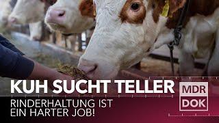 Kuh sucht Teller - Biolandwirtschaft in Nordsachsen | MDR DOK