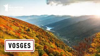 Vosges: Green Peaks and Valleys - 100 Places to See - Full Documentary -MG