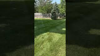 Lawn stripes #hustle