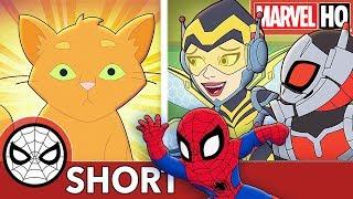 Spidey, Ant-Man & Wasp Face Cat-a-clysm! | Marvel Super Hero Adventures - Evil Mittens  | SHORT