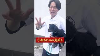 【犬しつけ】子犬の特有の甘噛み対処方法！