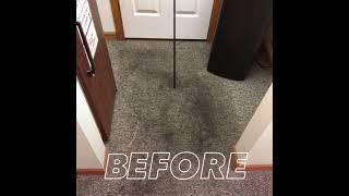 Chem-Dry Carpet Cleaning | South Bend & Elkhart, IN