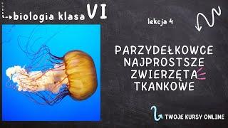 Biologia klasa 6 [Lekcja 4 - Parzydełkowce - najprostsze zwierzęta tkankowe]