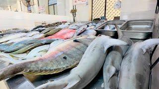 Exploring UAE's Authentic Seafood Paradise | Umm al Quwain Fish Market