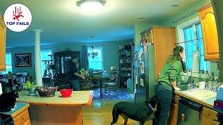 INSTANT REGRET COMPILATION l Something always happens in your house P1