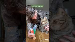 Cat with asthma takes inhaler!