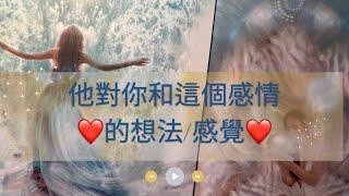 RuriRu【愛情】他在這個感情的心境他對你的想法跟感覺⭐️塔羅牌/神諭卡--瑠璃ル