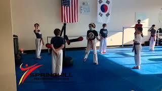 Springhill Taekwondo Center