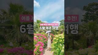  6월 제주도 여행 가볼 만한 곳 추천 BEST 10 모음! #여름제주도여행