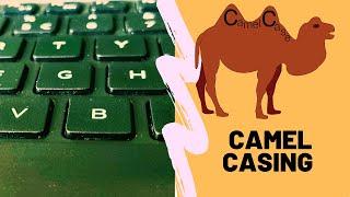 What is Camel Casing? Examples of Camel Casing in general and specific to programming languages.