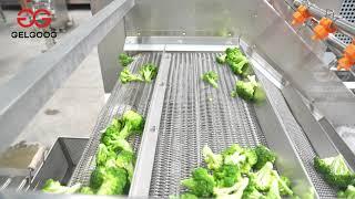 Frozen Broccoli Vegetable Processing Line