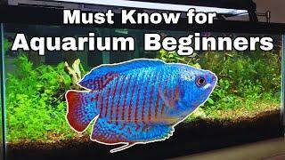 Beginner Aquarium Tips for starting your FIRST Fish tank!