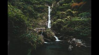 JOURNEY TO NANAN FALLS!!! // Yushan National Park // Taiwan