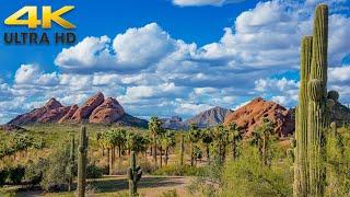 Phoenix to Tucson Complete Arizona Scenic Drive 4K