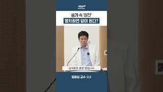 담낭용종과 담석증, 담낭암과 관계가 있을까?