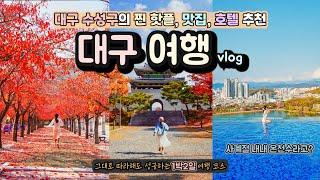 핫플만 모아본 대구 여행 코스, 수성구 1박 2일 가을 여행지 w. 대구 호캉스 브이로그, 맛집 베스트, 카페, 대구 여행 가볼만한곳