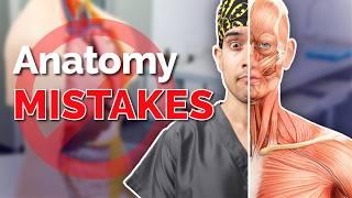 Studying Anatomy? Don’t Make These Mistakes! 