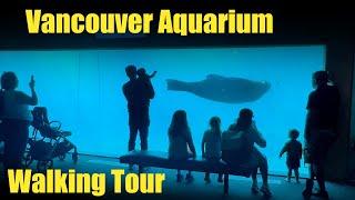 Vancouver Aquarium - Walking Tour - Full Walkthrough 4k - 2023