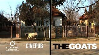 THE GOATS | FILMINUTE & CINEPUB