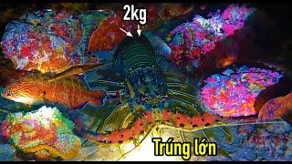 LẶN BIỂN TRƯỜNG SA TẠI ĐÁ BA ĐẦU VIỆT NAM | TRÚNG ĐẬM HẢI SẢN CÁ MẶT QUỶ | TÔM HÙM CỰC ĐÃ