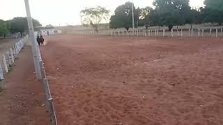 Treino no Parque Enilton Rocha