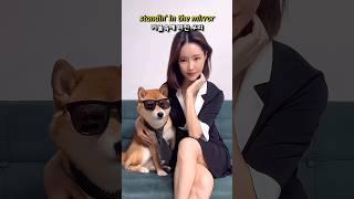 최초의 강아지 me too 챌린지