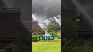 The Japanese thinking 20 steps ahead, like always #shorts