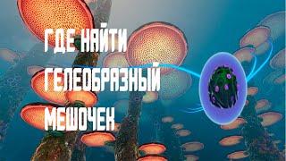 ГДЕ НАЙТИ ГЕЛЕОБРАЗНЫЙ МЕШОЧЕК В Subnautica