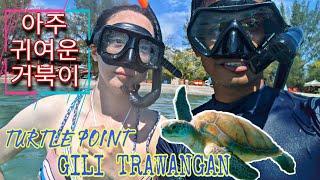 Banyak Penyu Jinak - Snorkeling Di Turtle Point Gili Trawangan