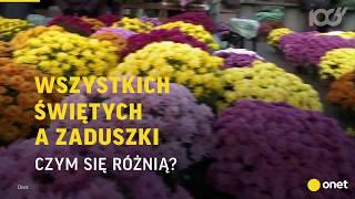 Czym się różnią Zaduszki od Wszystkich Świętych? | Onet100