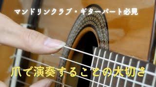 【マンドリンクラブのギターパート必見！】爪を使って演奏することの大切さ解説動画