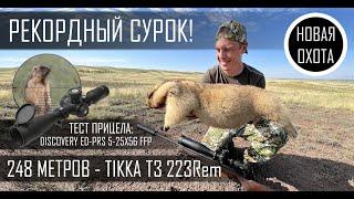 ОХОТА НА СУРКА С TIKKA T3 223REM