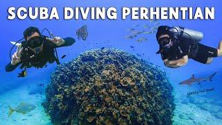 Is this Malaysia's most underrated diving spot?! Perhentian Islands (a beginner-friendly dive spot)