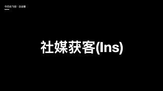 【零成本Ins获客】细分市场破局