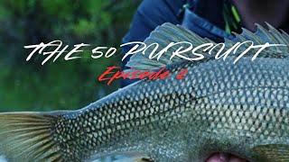 Trip of a lifetime | THE 50 PURSUIT #2