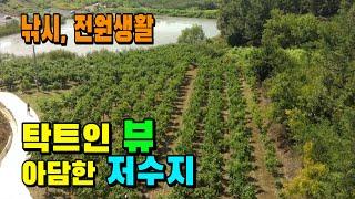 [매물 479] [저수지] 의성 저수지 접한 대추밭이며 , 낚시, 농막, 주말농장용으로 사용가능한 토지. (의성 땅, 의성 부동산) ㅣ 군위 새동산부동산